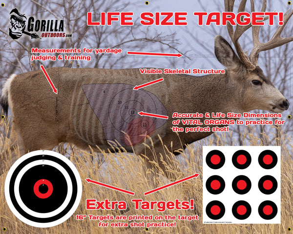 Choosing the Best Life Size Deer Target - A Buyers Guide