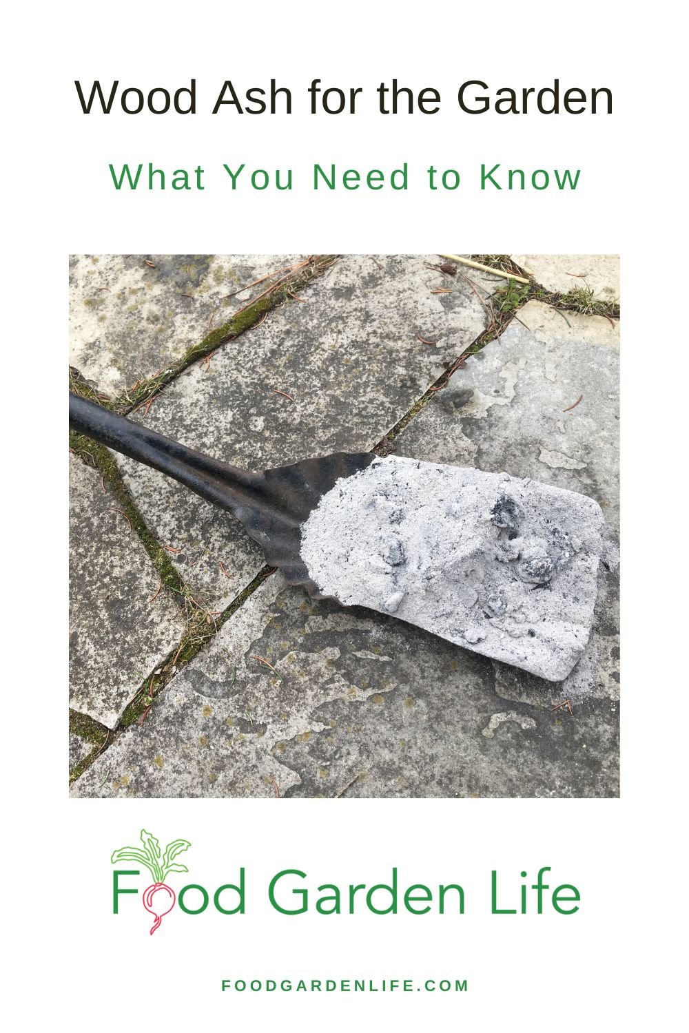 Wondering if does ash burn well? This guide will tell you!