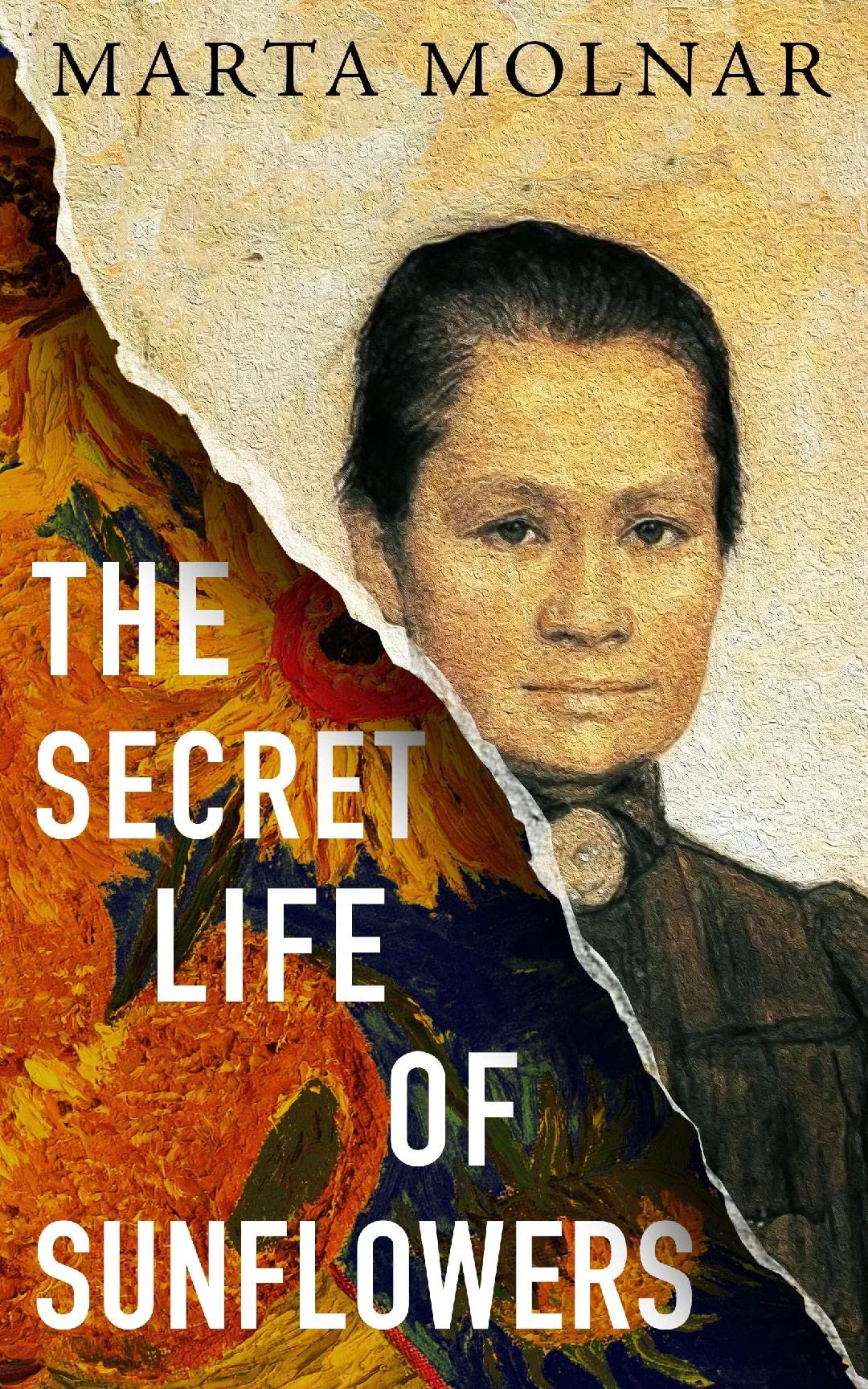 Want to Know Synopsis of the Secret Life of Sunflowers? Read This Before You Dive In