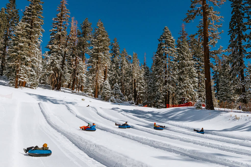 Top Things to Do in LA in the Winter Cool Activities
