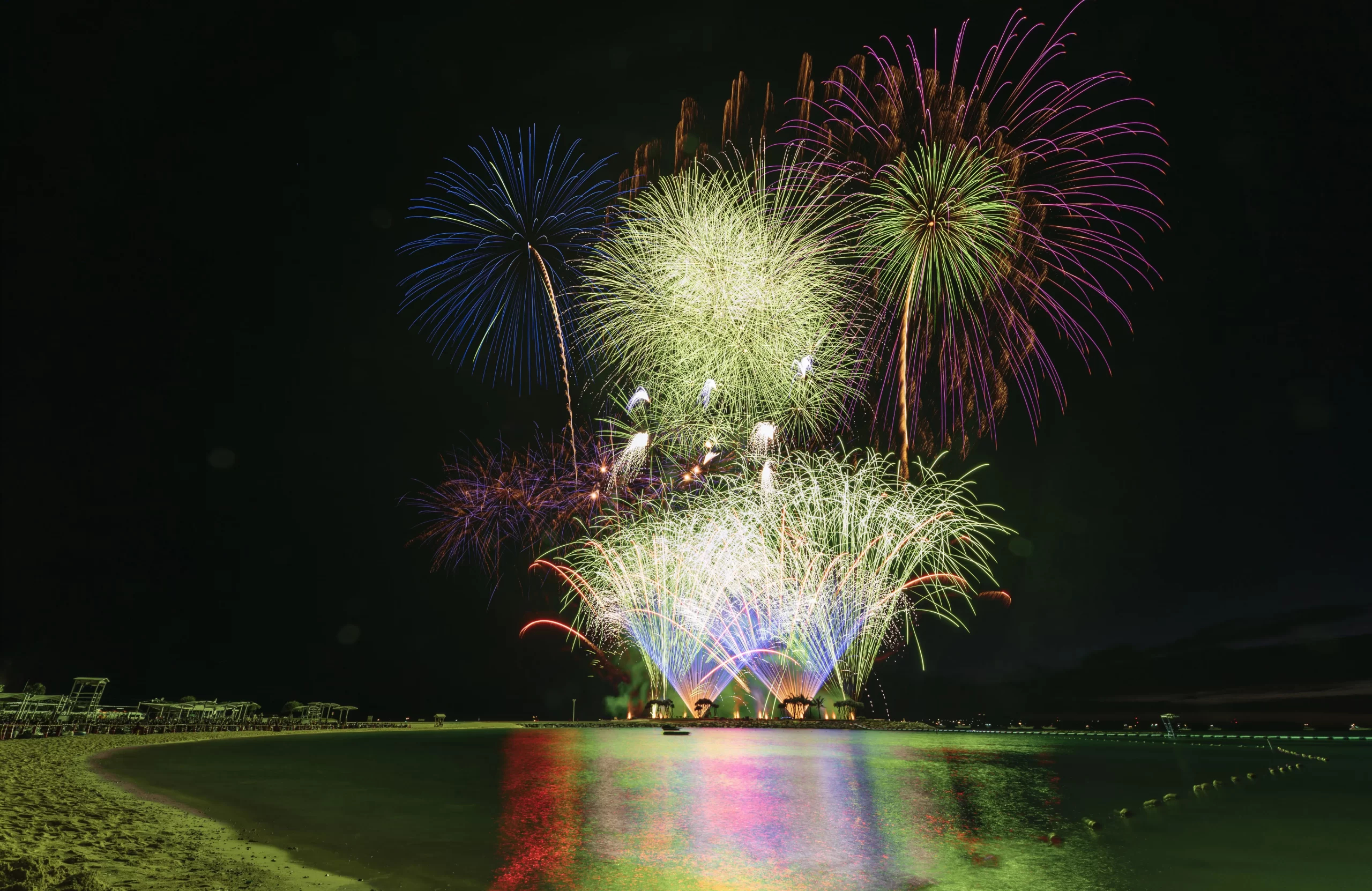 See the Ocean Sparkle: Marine Life Firework Festival