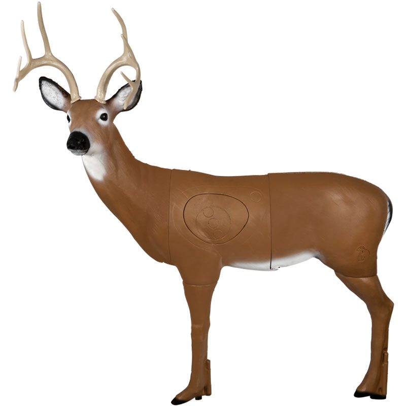 Choosing the Best Life Size Deer Target - A Buyers Guide