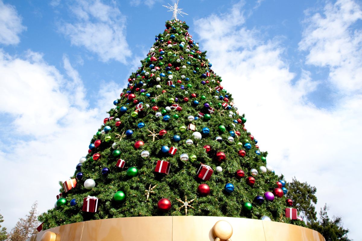 Experience the Magic Coral Gables Christmas Tree Lighting