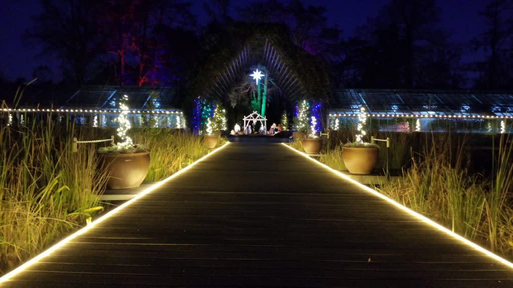 Beaumont Christmas Lights: How to Plan Your Holiday Light Tour? Discover the Must-See Locations in Beaumont!