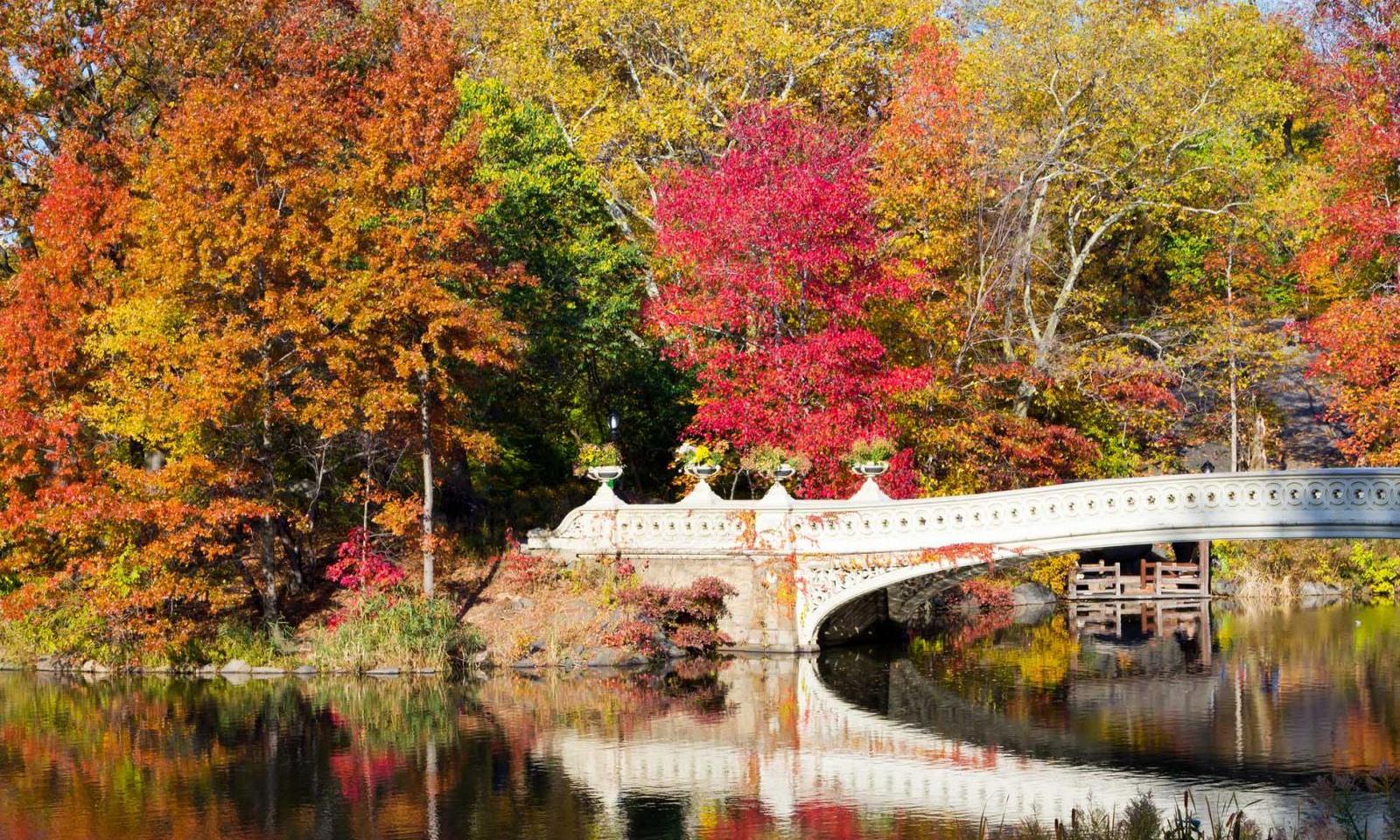Plan your new york fall weekend getaways (Best places to see autumn colors and relax)