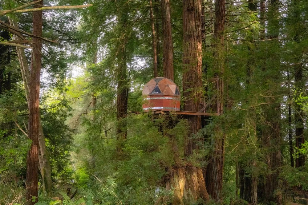 Glamping Redwoods: Best Spots for a Magical Forest Stay