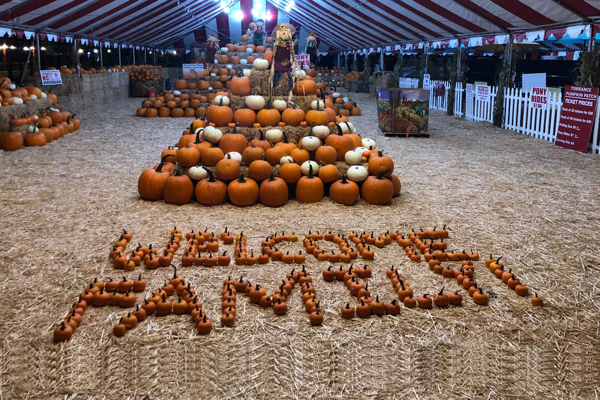Pumpkin Patch Torrance CA: Family Fun and Festive Pumpkins