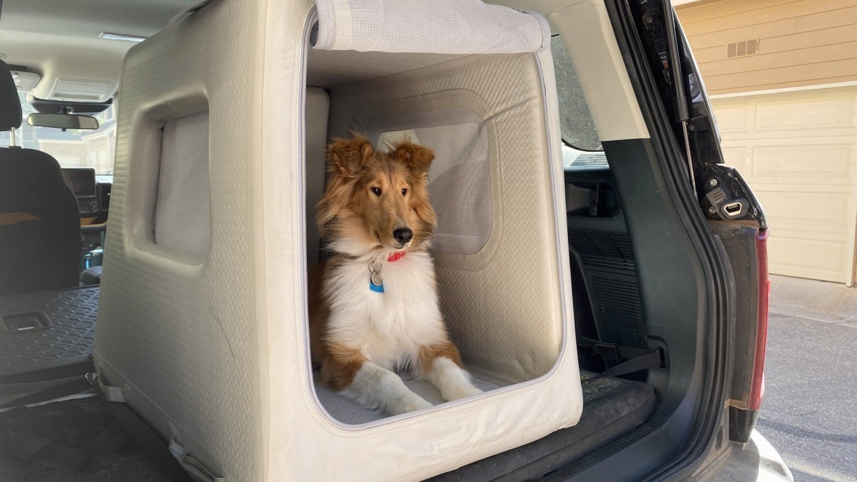 Inflatable Dog House: Is It Good or Bad? Read This Before You Buy One!