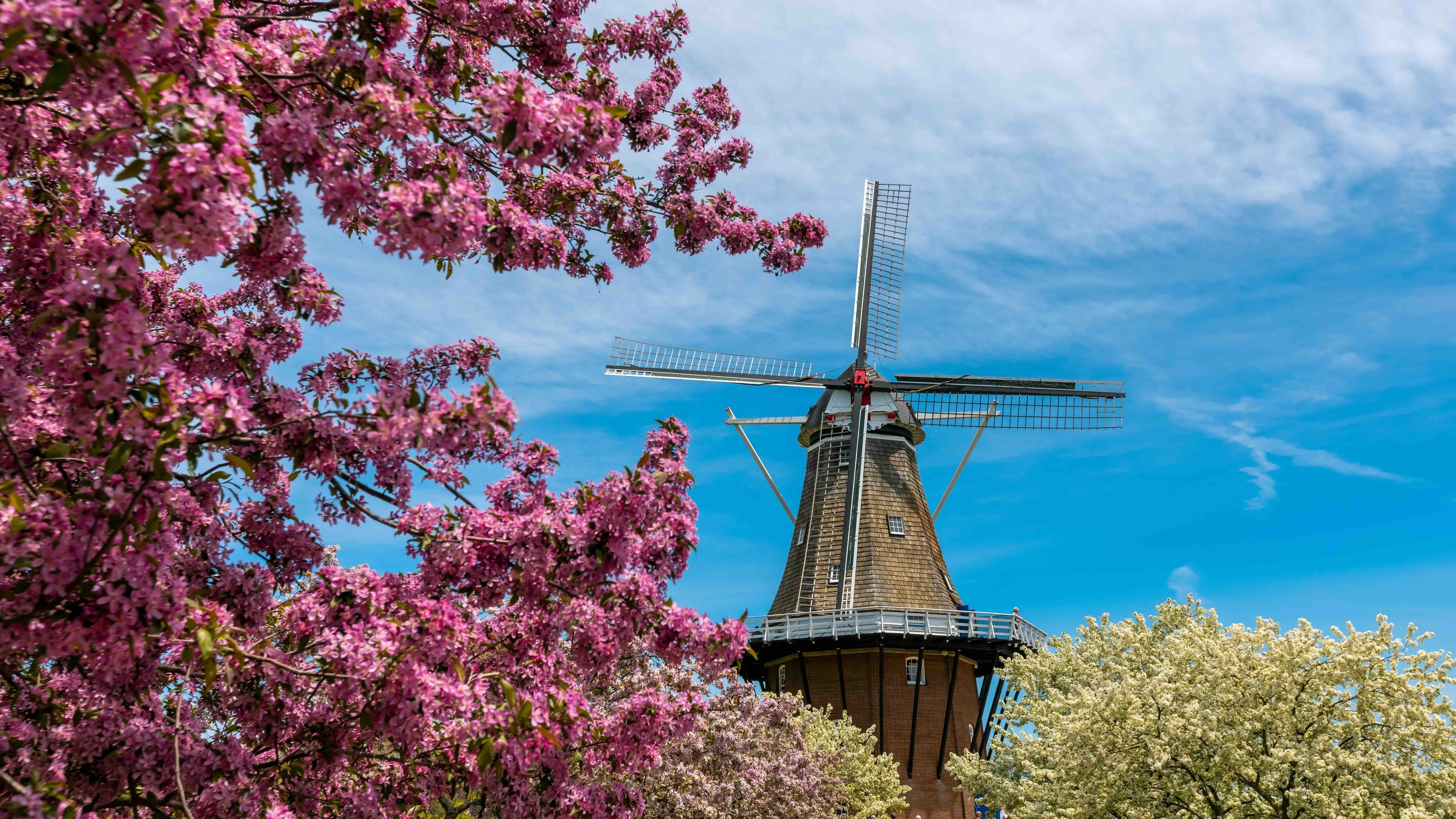 Top Fall Day Trips from Chicago: Perfect for a Quick Escape.