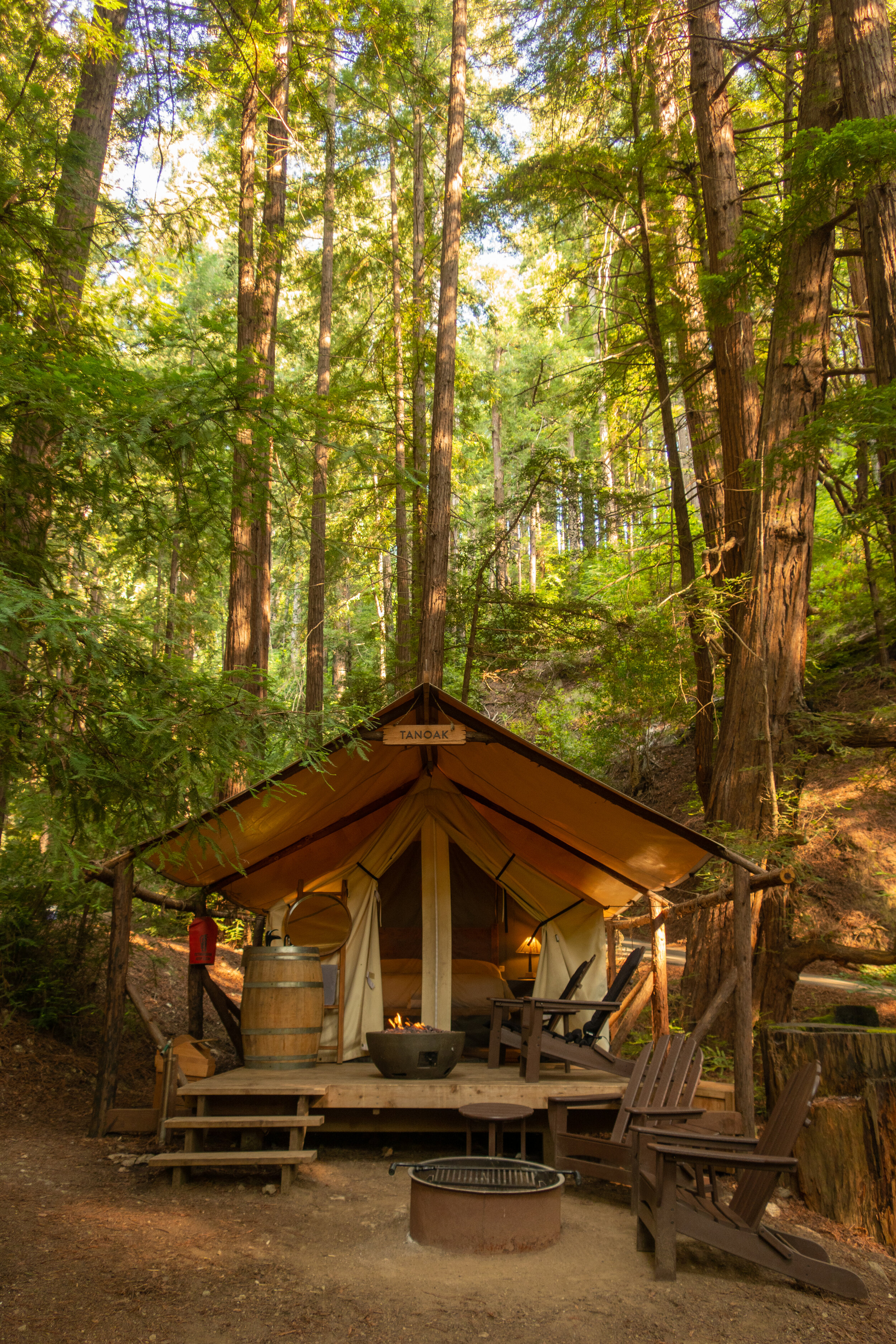 Glamping Redwoods: Best Spots for a Magical Forest Stay