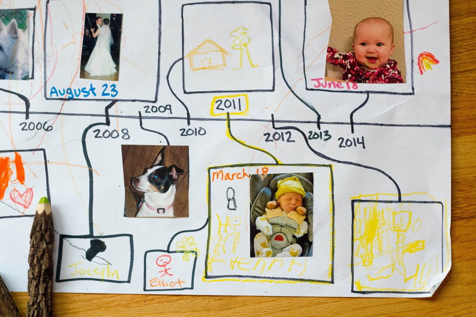 Montessori Timeline of Life Explained: Easy-to-Follow Steps for Kids