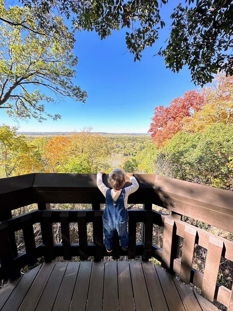 Cool Trips Within 6 Hours of Me! (Quick and Fun Escapes From Your City)