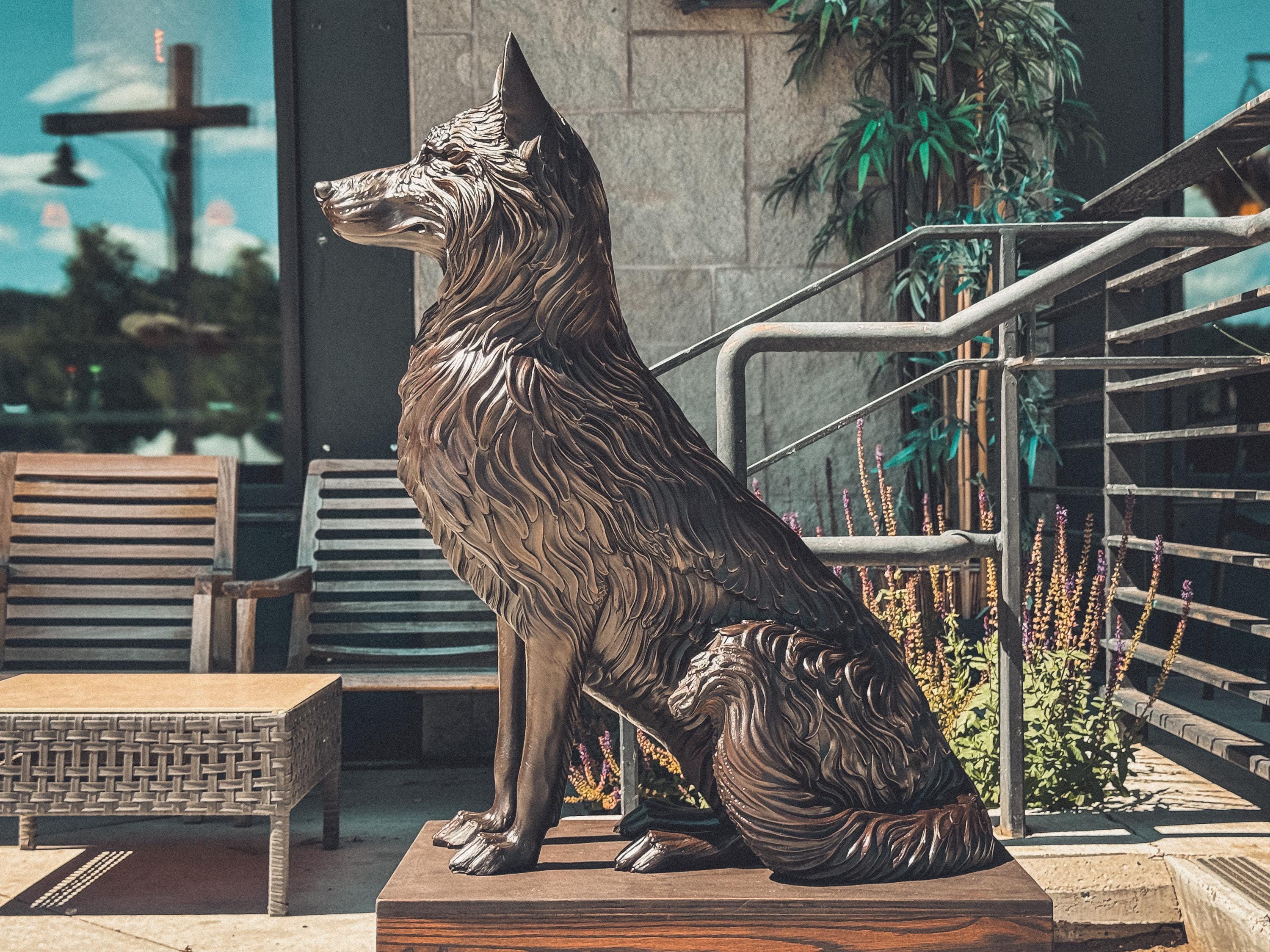 Where to Buy a Realistic Life Size Wolf Statue? Top Picks and Guide