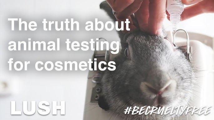 Does Benefit Cosmetics Test on Animals? The Truth Revealed
