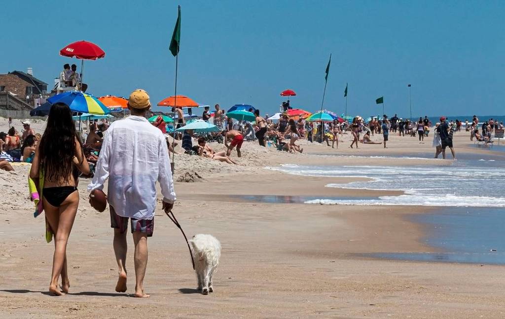 Best Dog Beach Near NYC or CT: Top Spots for You and Your Pup to Enjoy the Sun and Sand