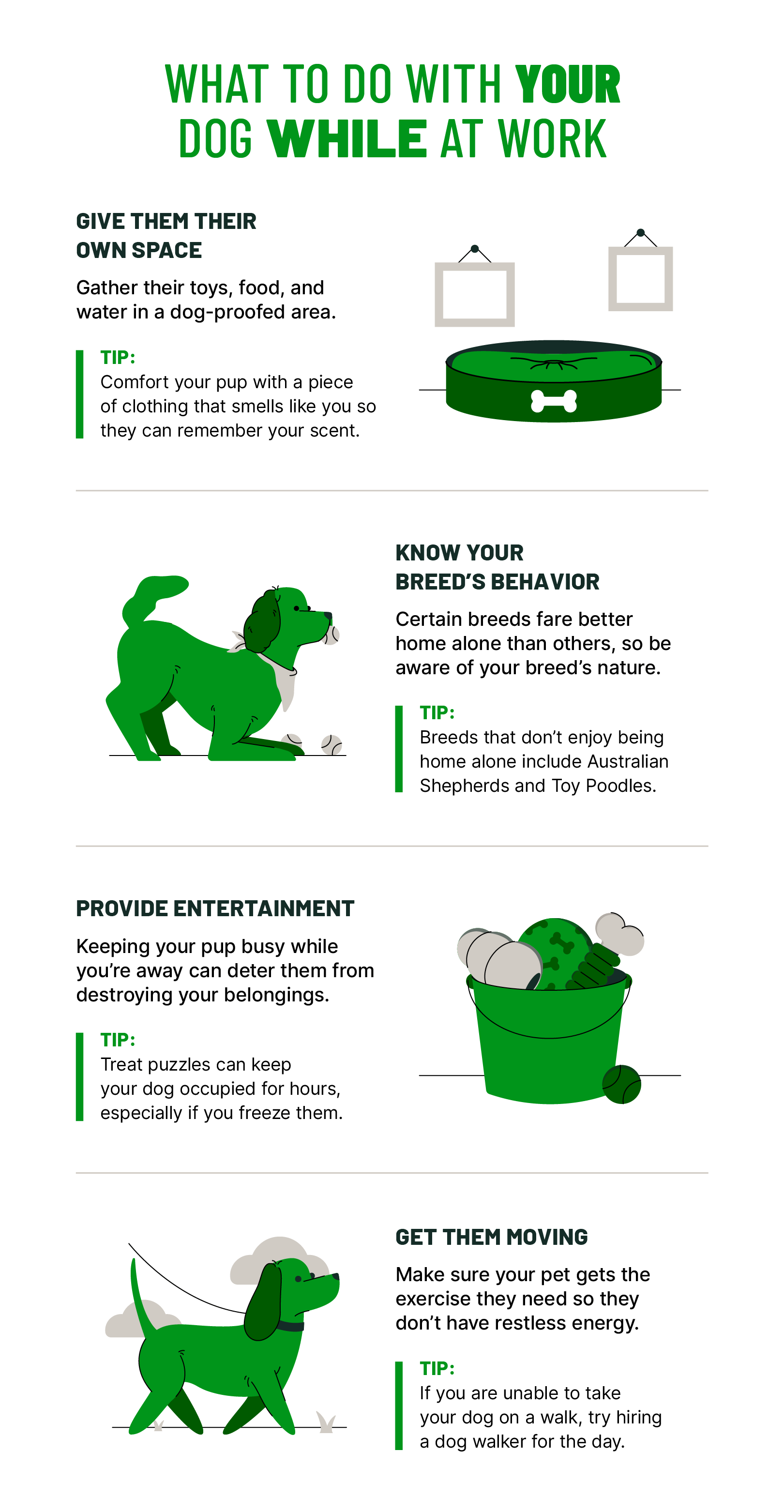 How to Keep a Dog Entertained While at Work: Guilt-Free Solutions!