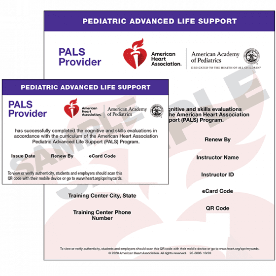 Looking for Pediatric Advanced Life Support Atlanta? Compare Top Providers Now