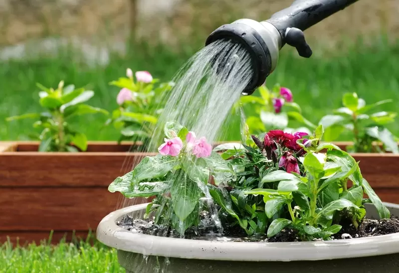 Is Well Water Good for Plants? Simple Tips for Happy, Healthy Growth!