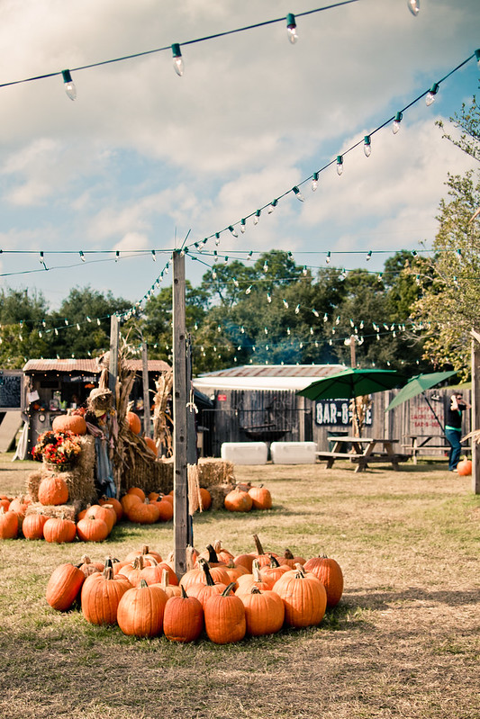 Maze Dallas TX: Find the Best Corn Mazes & Escape Rooms!