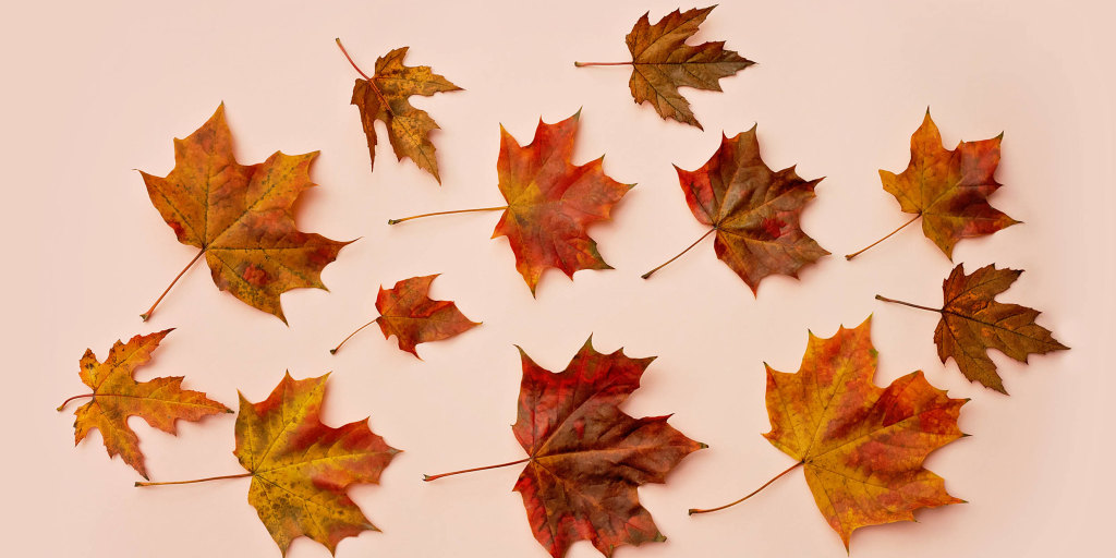 Songs About Autumn or Fall : Find the perfect song today!