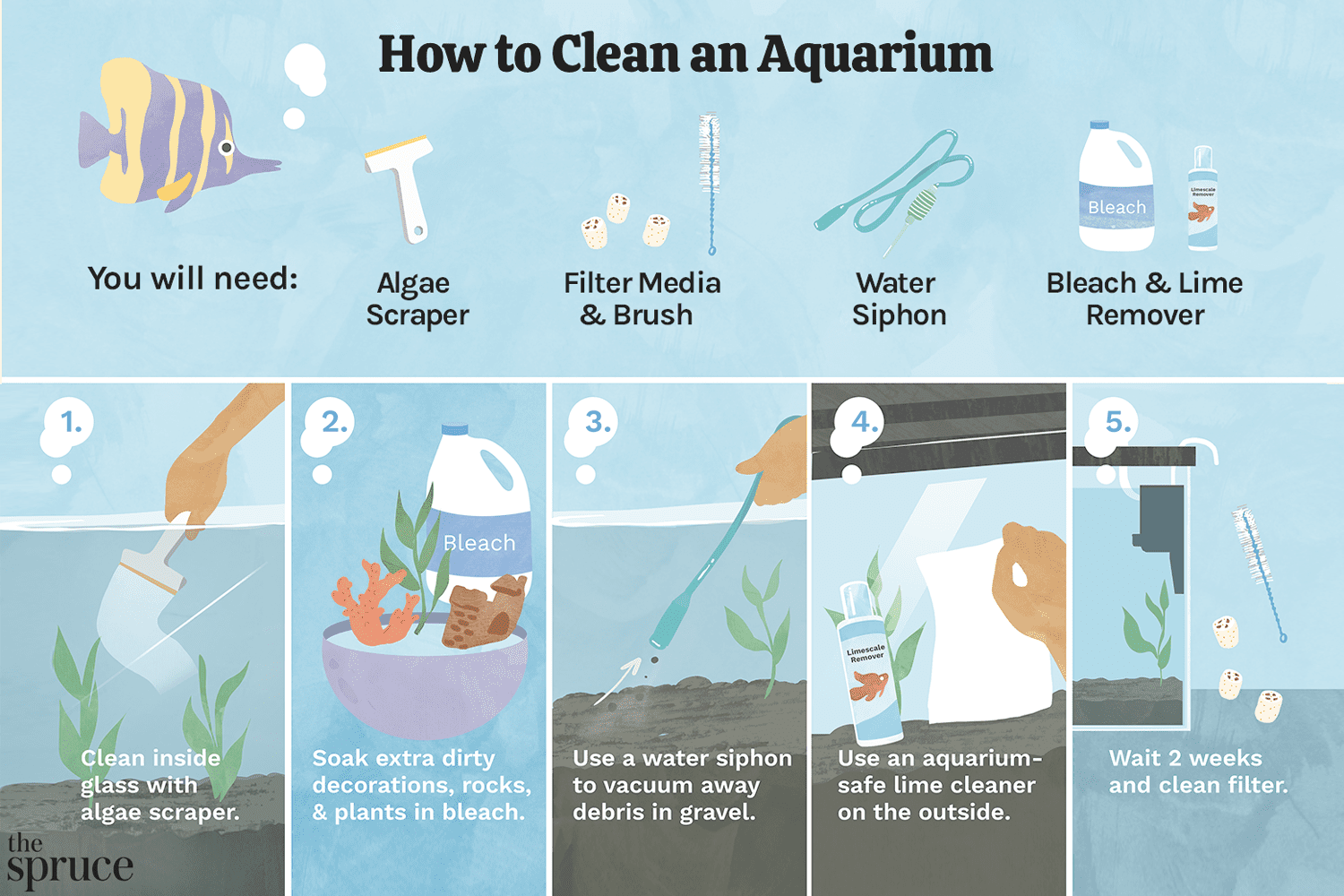 Using Well Water in Your Fish Tank: A Beginners Guide and advice.