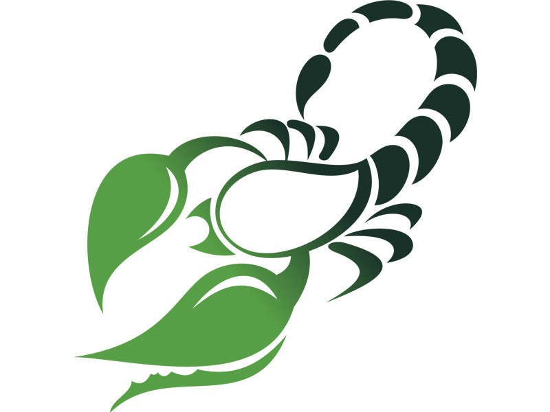 Today Scorpio Horoscope in Urdu: Check Your Daily Star Predictions!