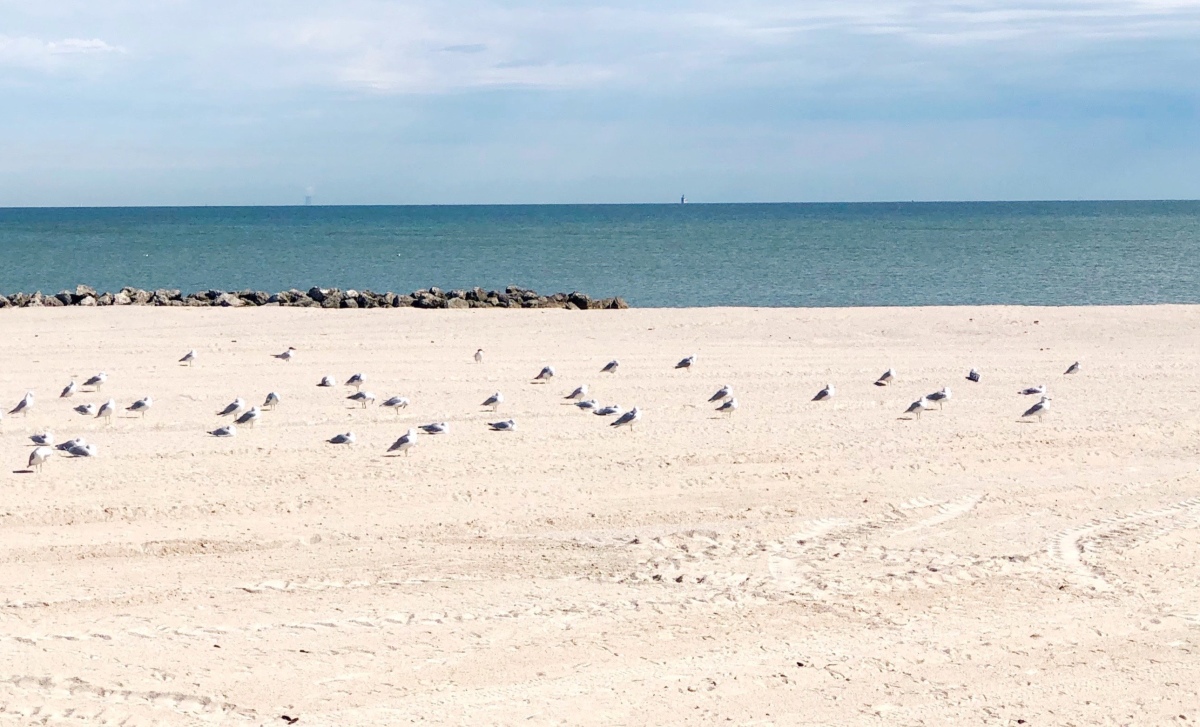 Discover beaches in Ohio on Lake Erie: Your simple summer guide.