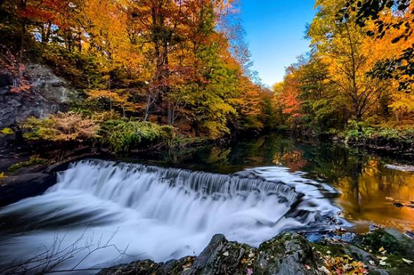 See Long Island Fall Leaves! Easy Guide to Colorful Views