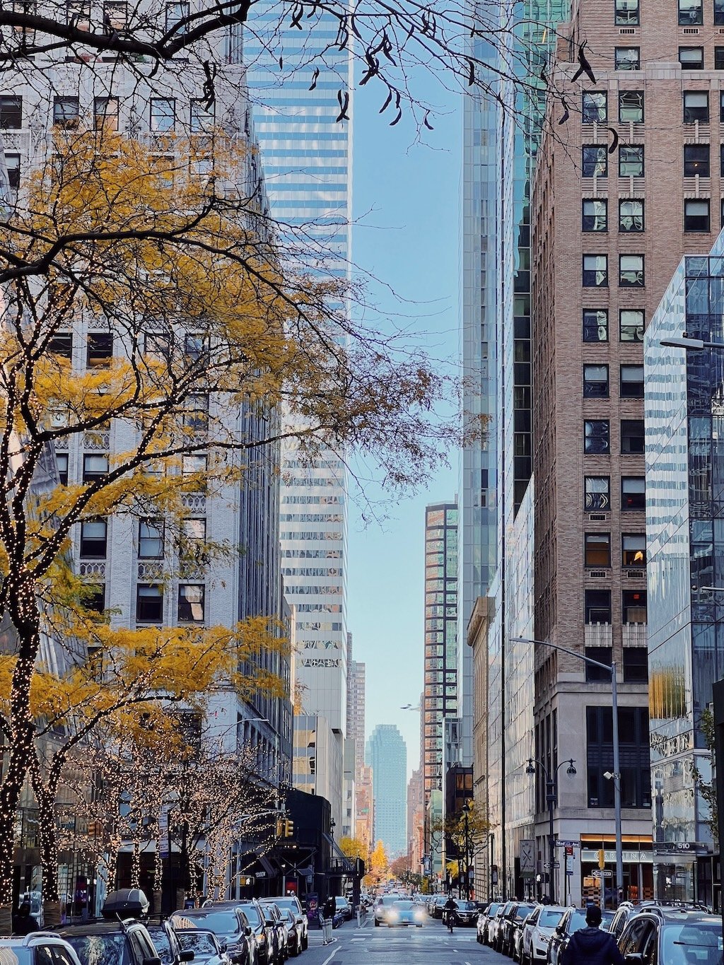 What to do in New York City in November: Top Picks & Tips