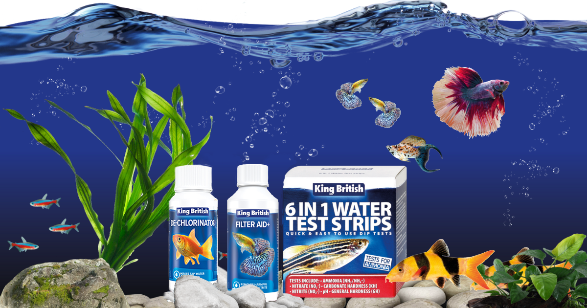 Using well water in a fish tank? Essential tips you should know!