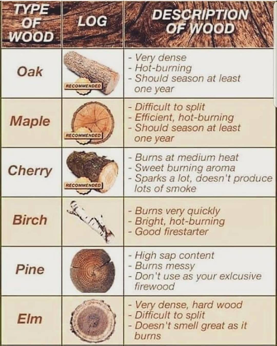 Does Pine Wood Burn Well or Not? A Quick Guide to Find Out All The Details