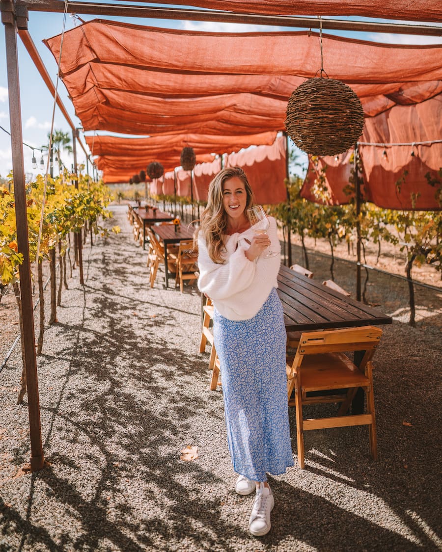Visit Lechuza Valle de Guadalupe: Your Easy Travel Guide.