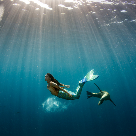 Mermaid Zodiac Sign: Dive Deep into Your Personality!