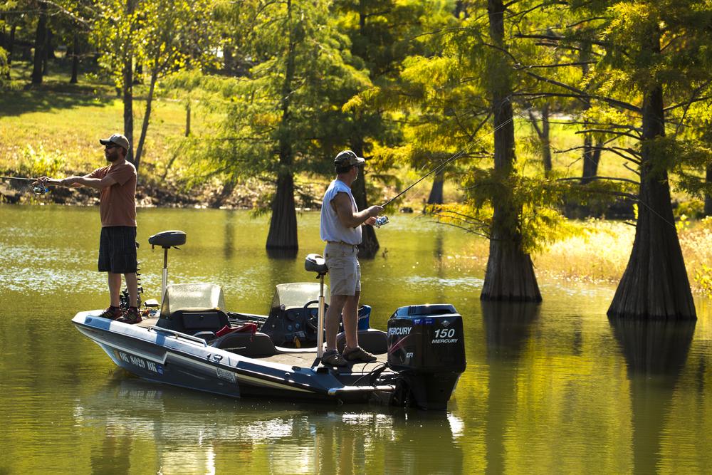 Boat Rental at Sequoyah State Park: Best Prices & Options for Boat Lovers!